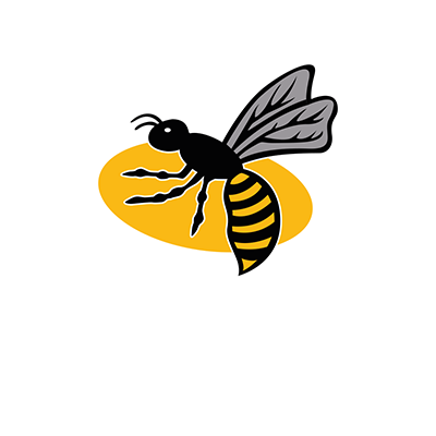 Wasps Netball Wasps Netball